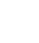 Nueva Escuela Argentina de Arpa